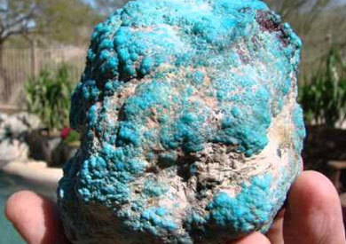 الفيروز في سيناء - ارشيفية